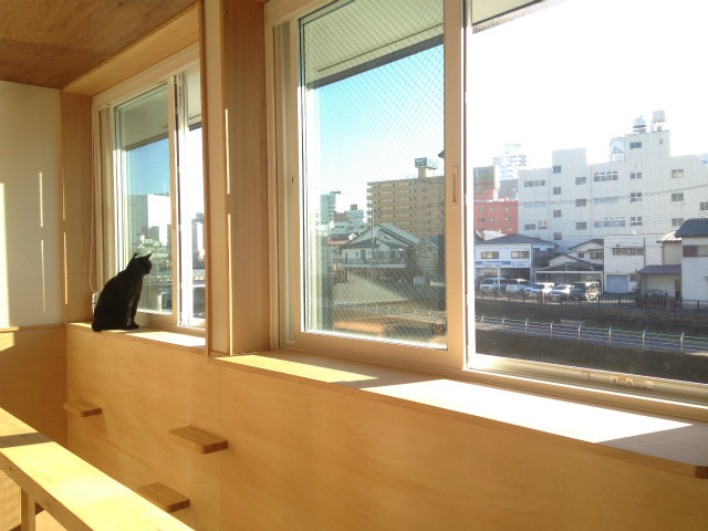猫と暮らす大屋根の家 で造った 猫のための仕掛けと猫アイテムのメリット デメリット 栃木県宇都宮市の注文住宅 リフォーム リノベーション ヨシダクラフト